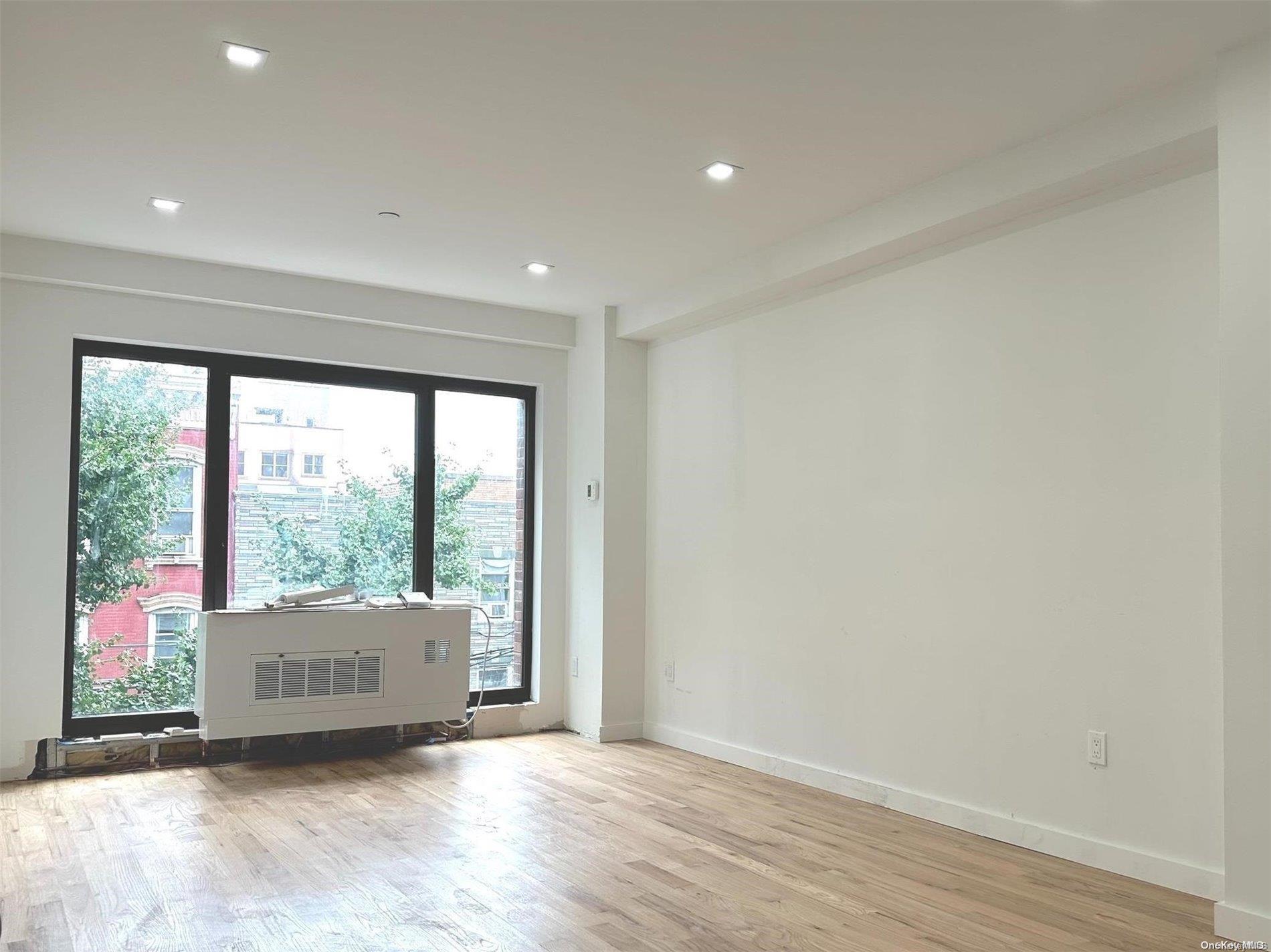 Apartment Graham  Brooklyn, NY 11211, MLS-L3577632-3