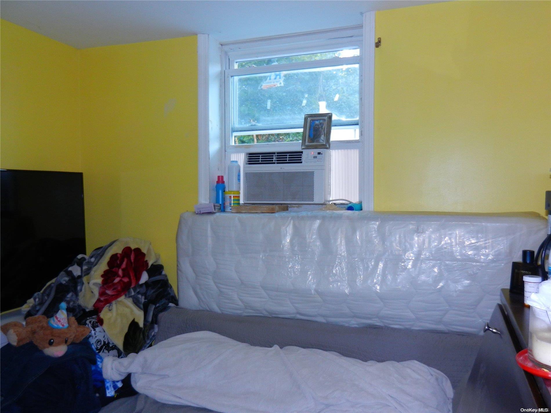 Single Family 86th  Queens, NY 11369, MLS-L3578122-16