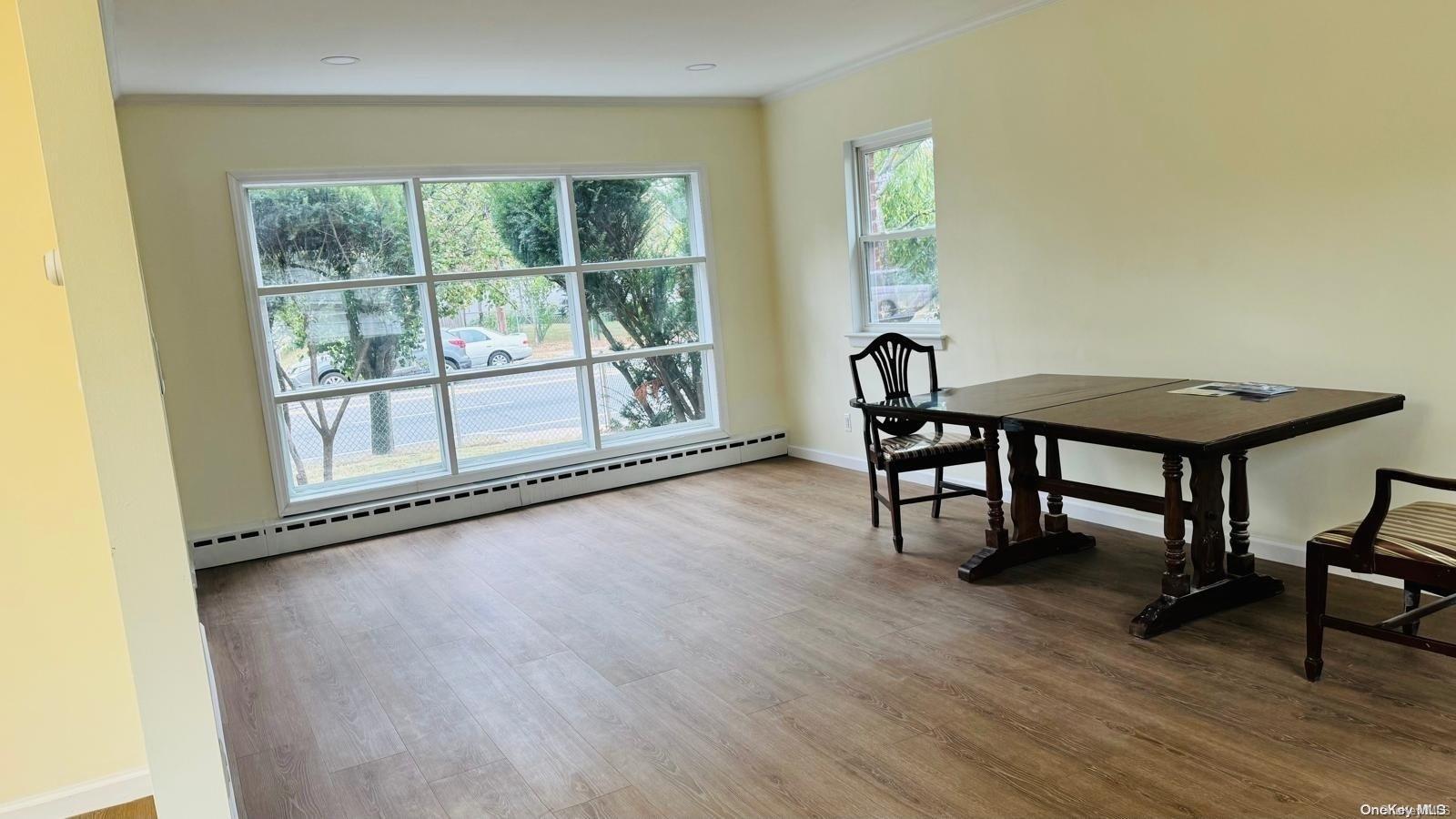Single Family New Hyde Park  Nassau County, NY 11040, MLS-L3580338-13
