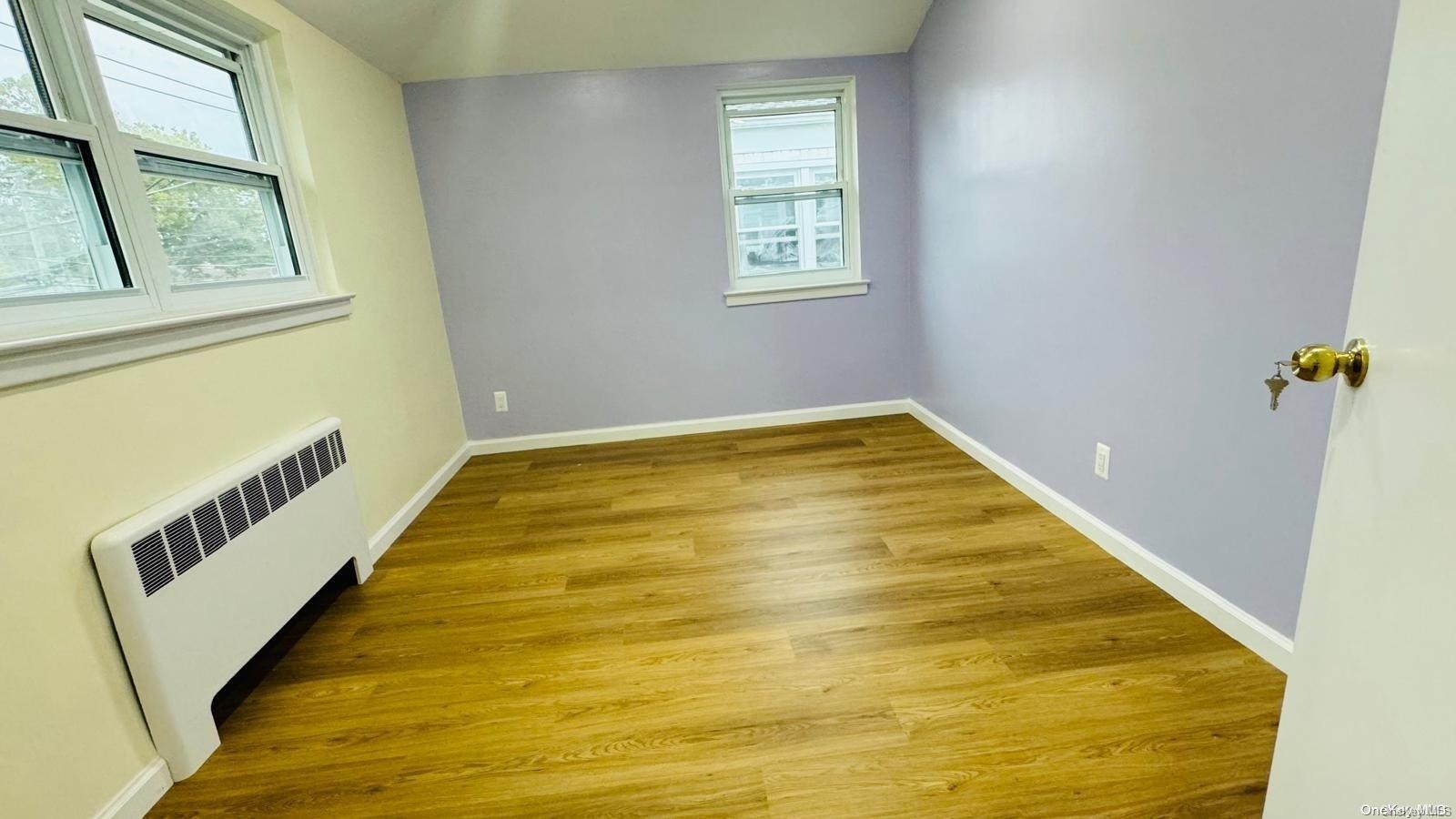 Single Family New Hyde Park  Nassau County, NY 11040, MLS-L3580338-22