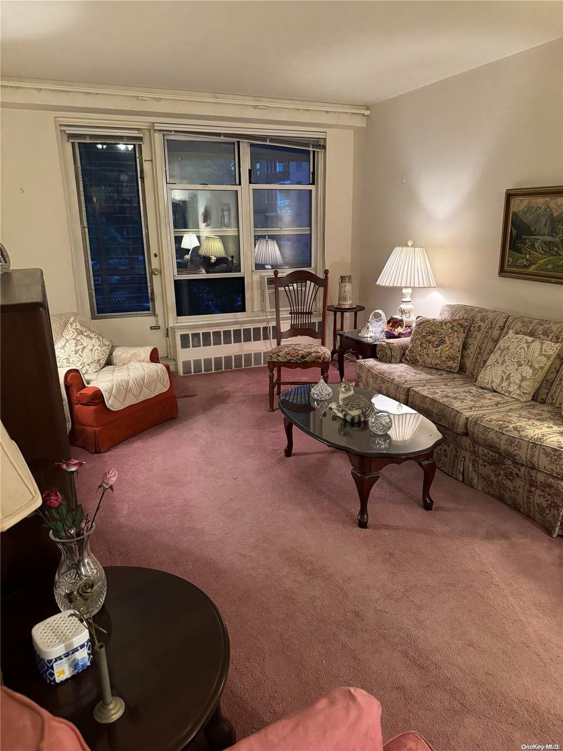 Coop 85th  Queens, NY 11372, MLS-L3580518-3