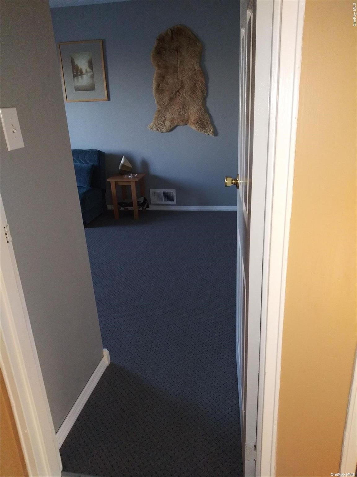 Single Family 92nd  Queens, NY 11414, MLS-L3581413-7