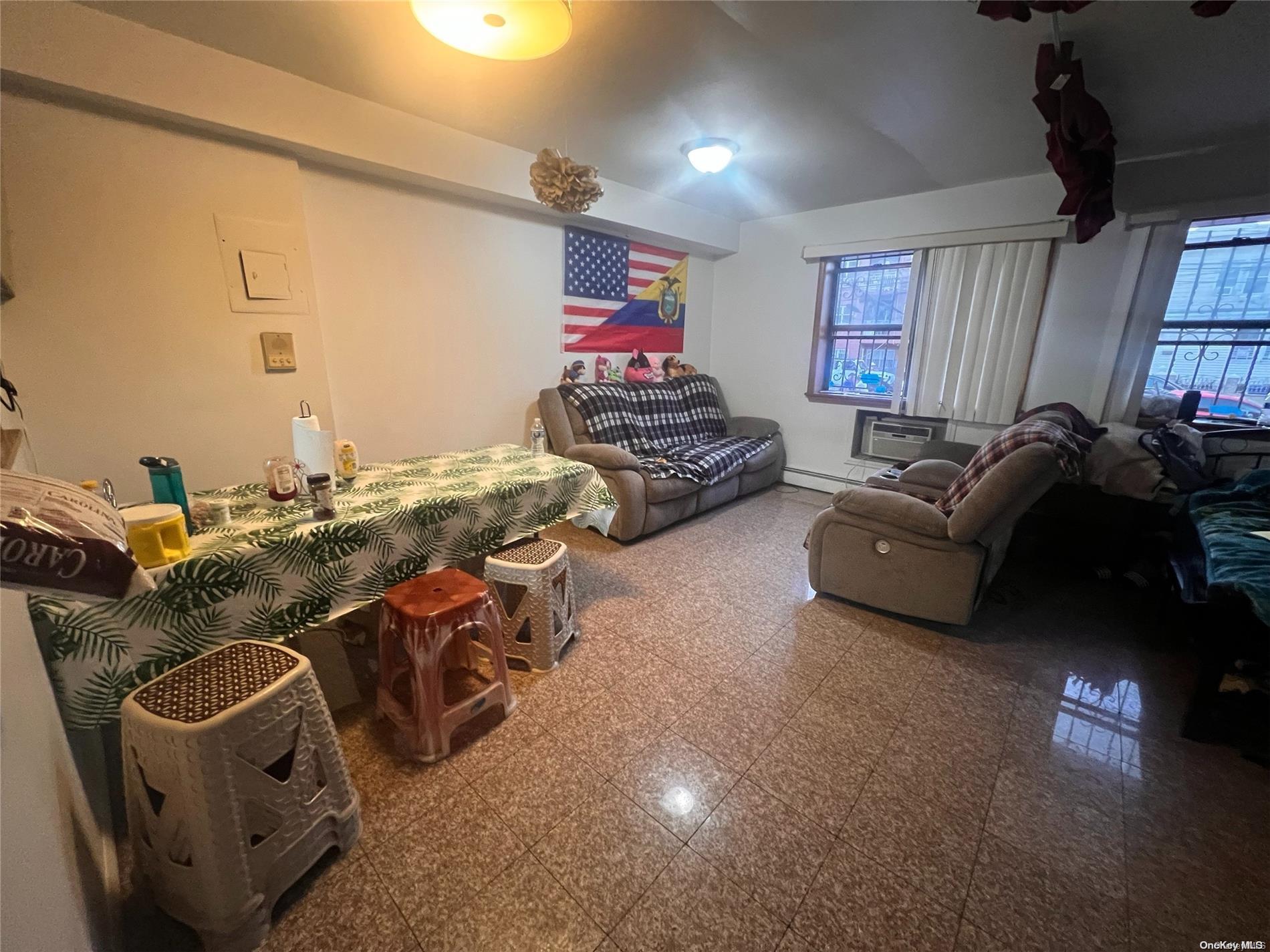 Single Family 38th  Queens, NY 11368, MLS-L3582085-15