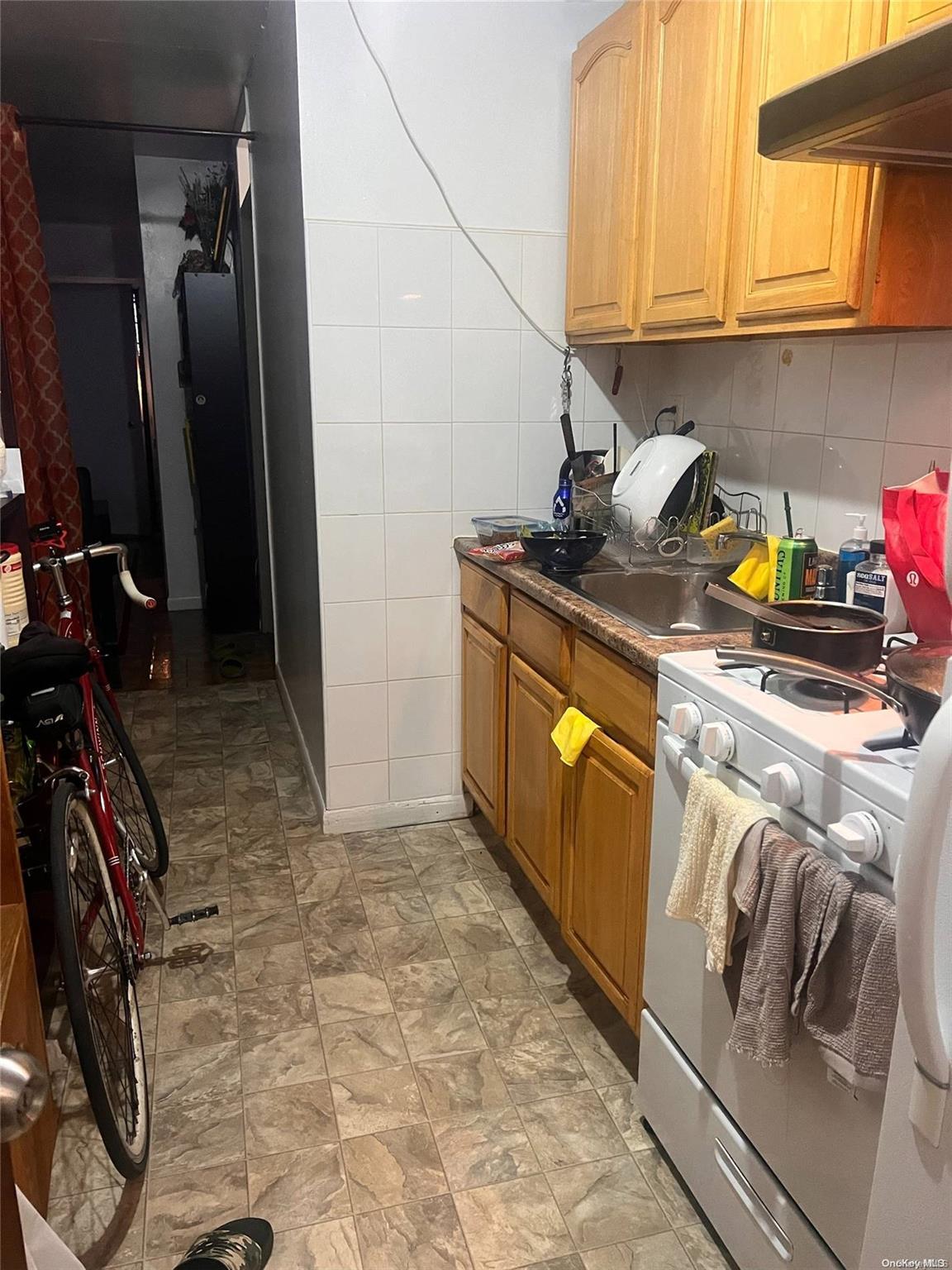 Single Family 38th  Queens, NY 11368, MLS-L3582085-20