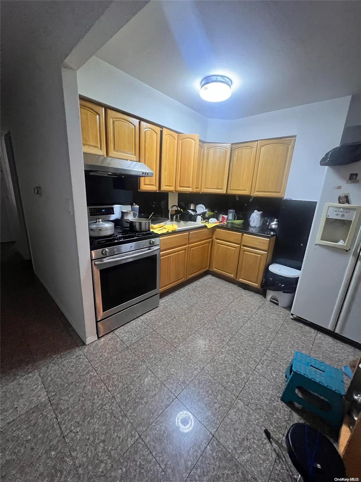 Single Family 38th  Queens, NY 11368, MLS-L3582085-9