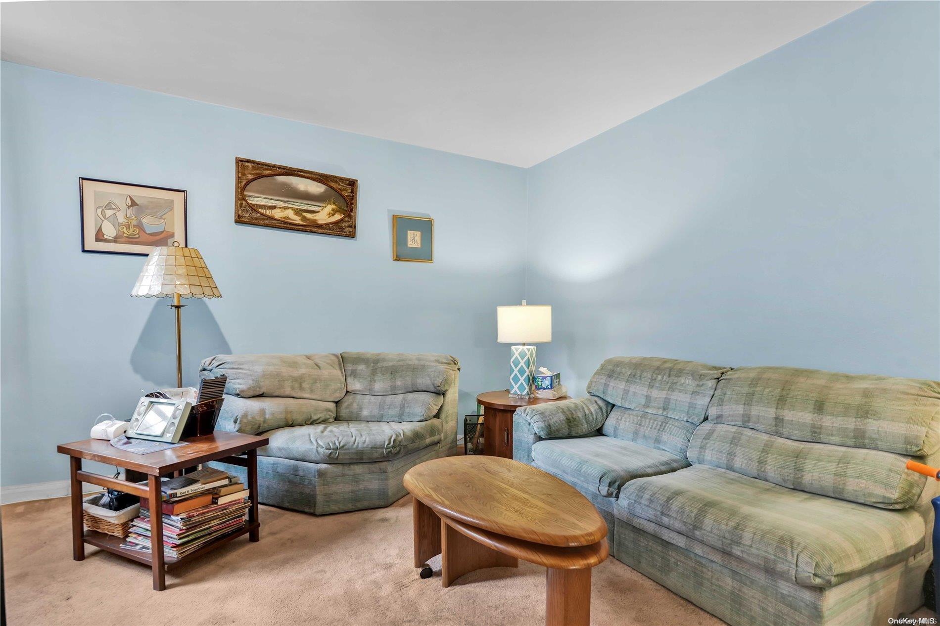 Coop 75th  Queens, NY 11372, MLS-L3582739-11