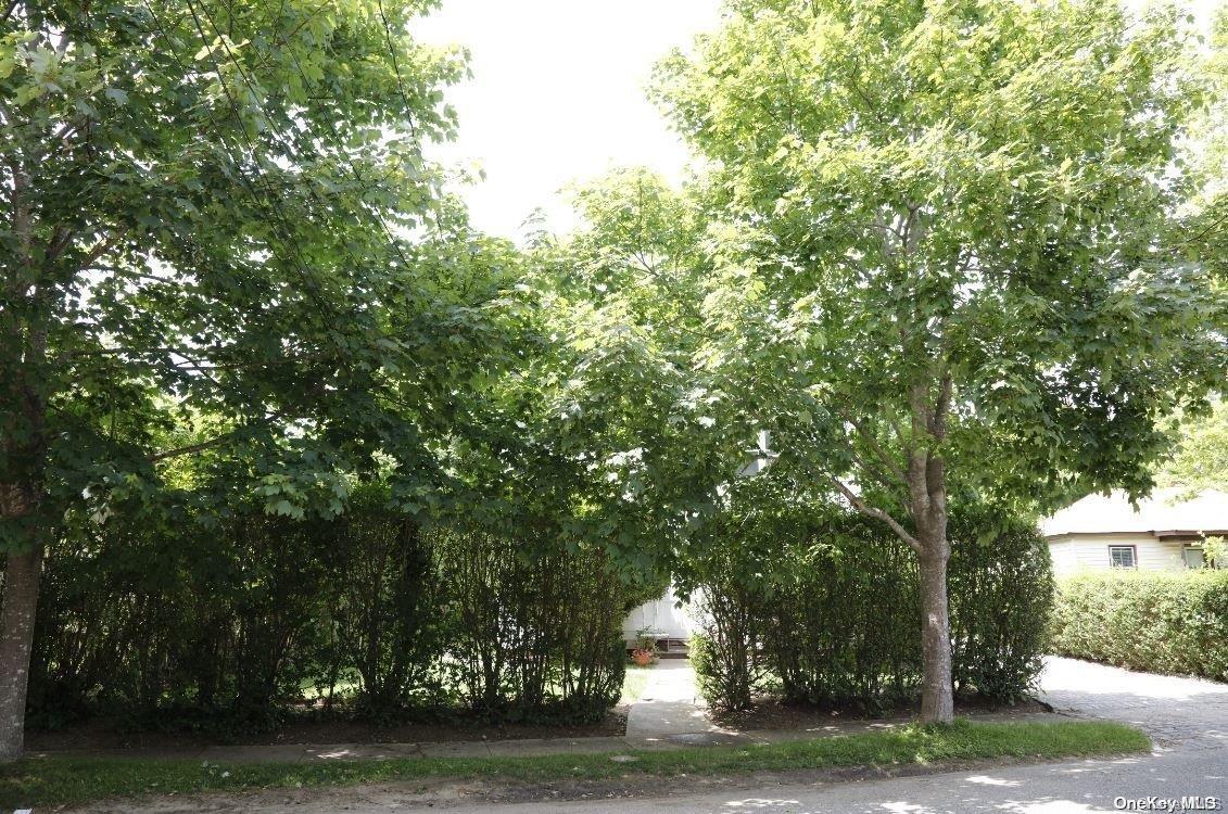 Single Family Halsey  Suffolk County, NY 11968, MLS-L3582974-2