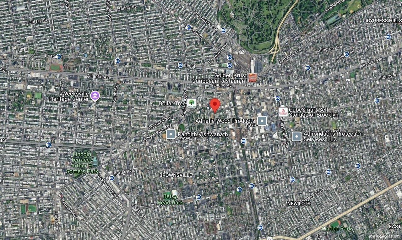 Land Liberty  Brooklyn, NY 11212, MLS-L3583812-10