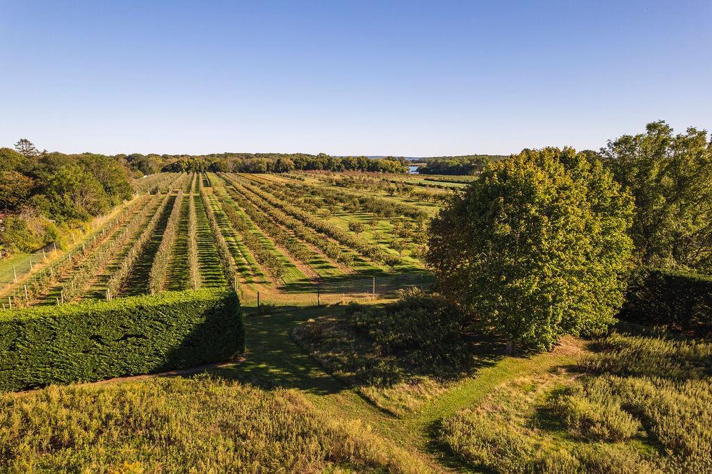 Single Family Main  Suffolk County, NY 11935, MLS-L3584002-46