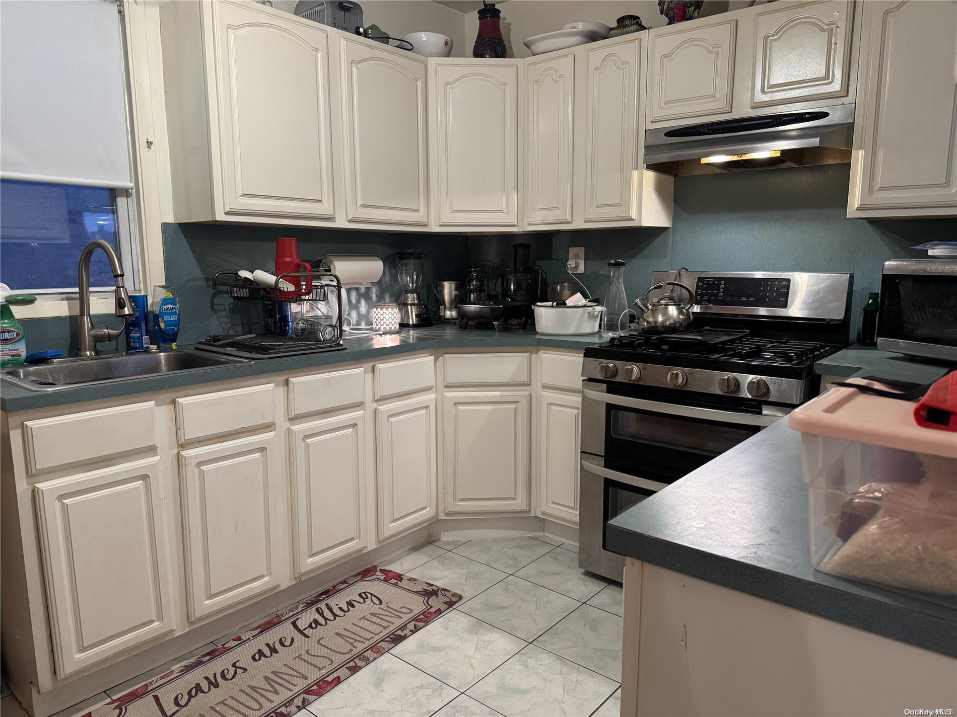 Single Family Secor  Bronx, NY 10466, MLS-L3584061-10