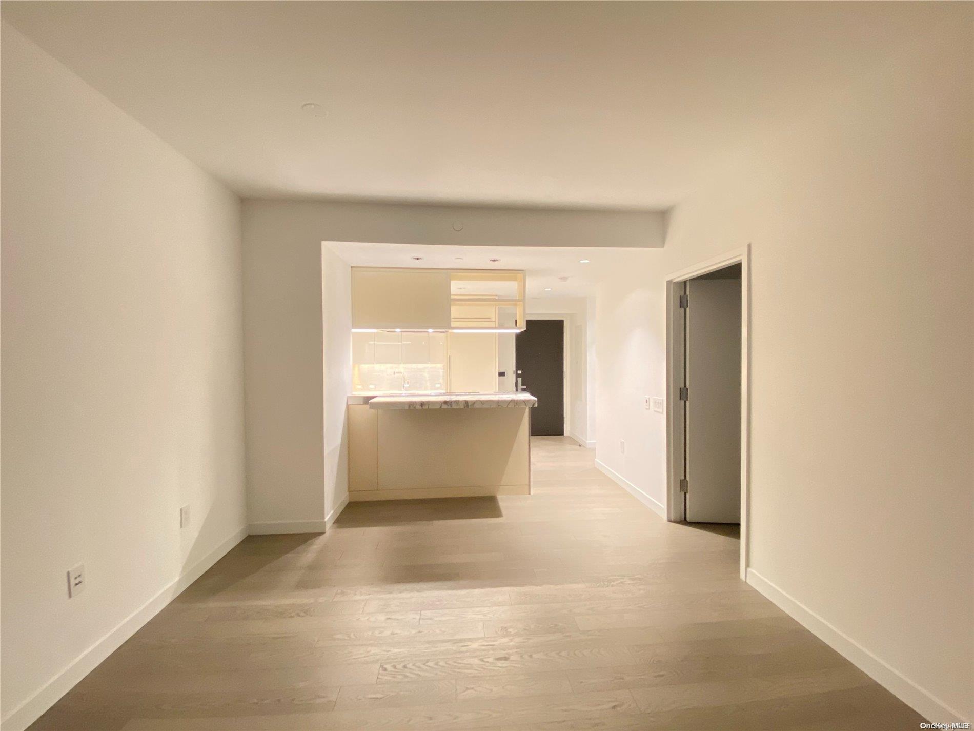 Condo South  Manhattan, NY 10002, MLS-L3585954-4