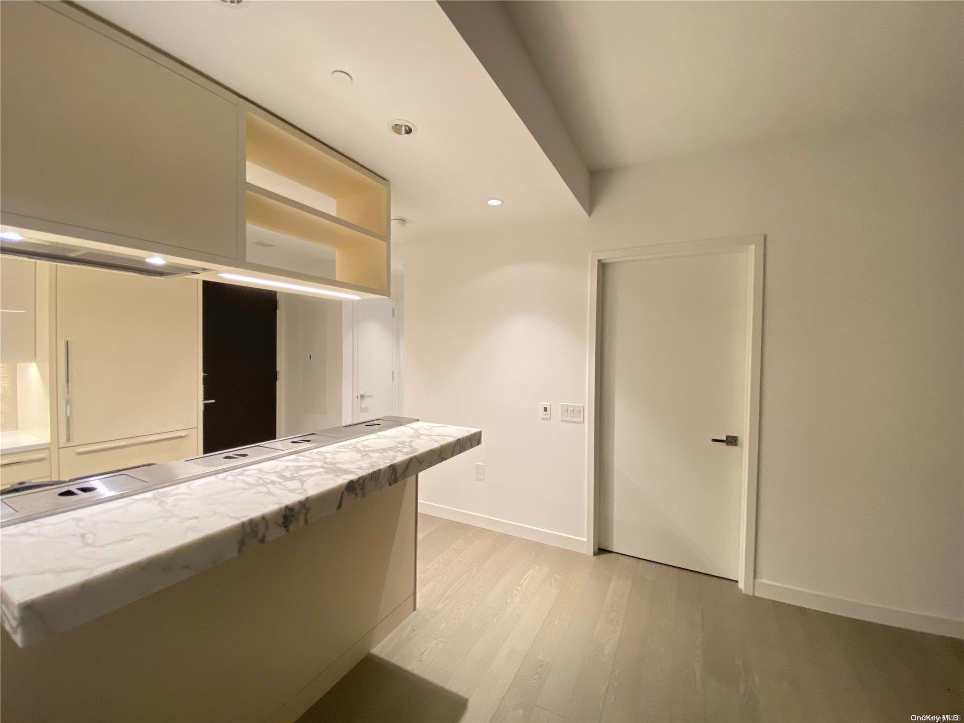 Condo South  Manhattan, NY 10002, MLS-L3585954-5