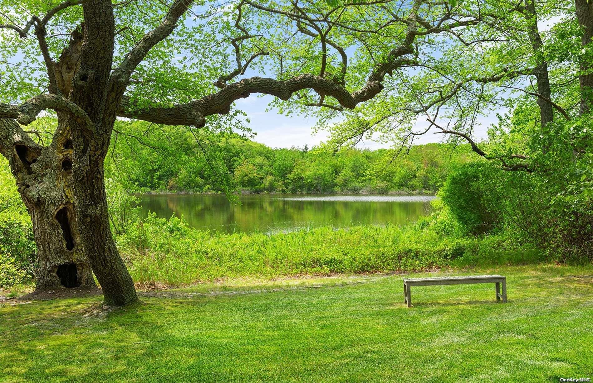 Single Family Lower 7 Ponds  Suffolk County, NY 11976, MLS-L3586103-5