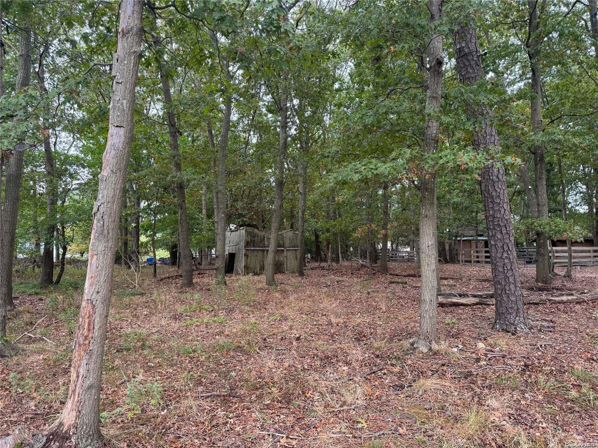 Single Family Lincoln  Suffolk County, NY 11763, MLS-L3586323-4