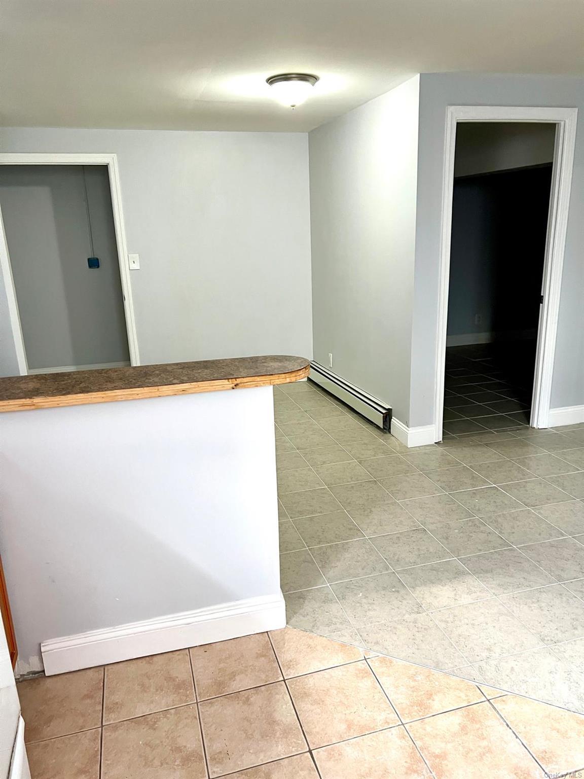 Single Family 157th  Queens, NY 11433, MLS-L3586497-22