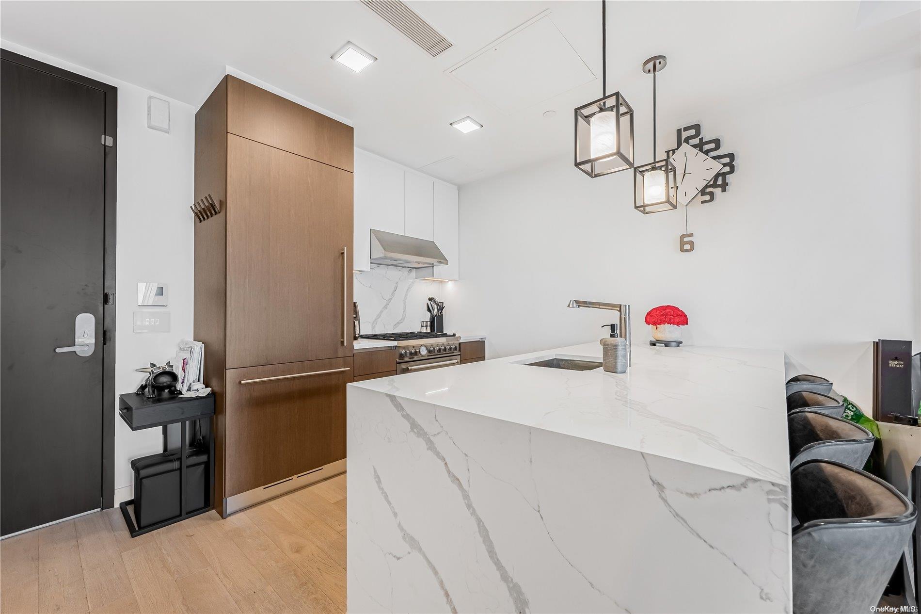 Condo Farrington  Queens, NY 11354, MLS-L3586619-4