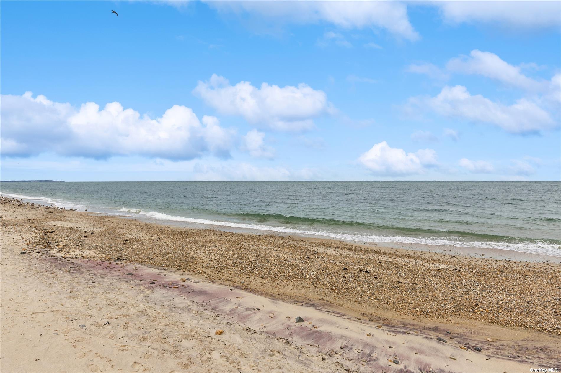 Single Family Captain Kidds  Suffolk County, NY 11954, MLS-L3586664-26