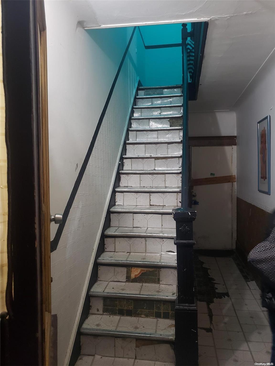Single Family Grant  Brooklyn, NY 11208, MLS-L3587278-4