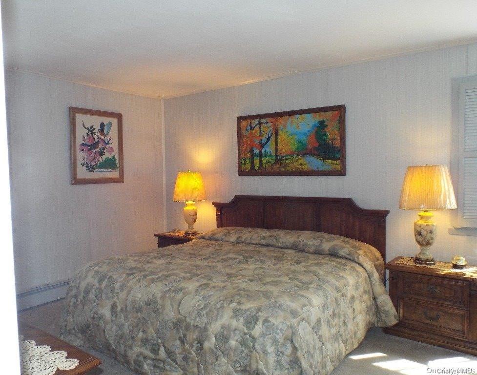 Single Family Forte  Suffolk County, NY 11763, MLS-L3587732-3