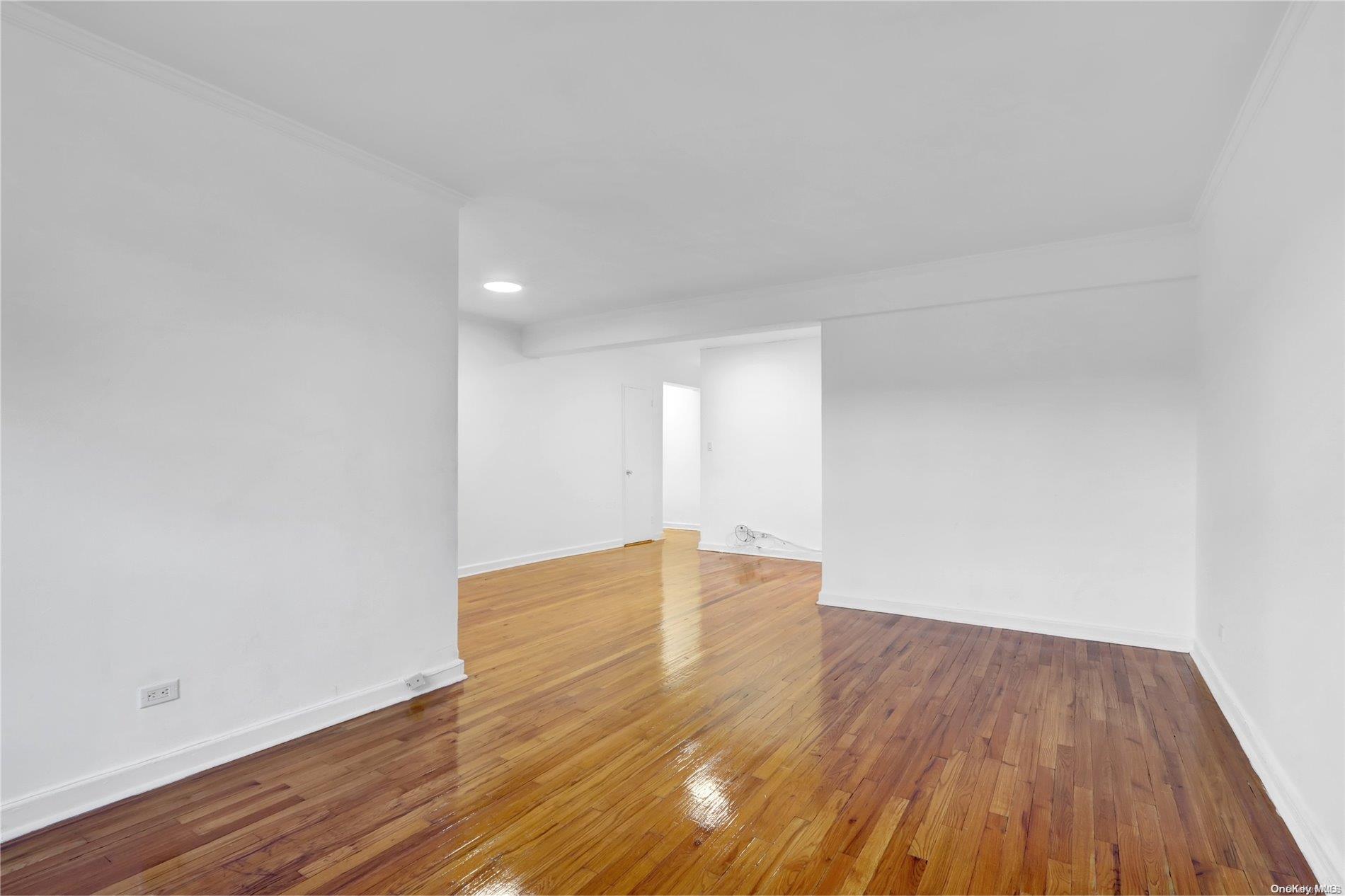 Coop Avenue H  Brooklyn, NY 11210, MLS-L3587948-10