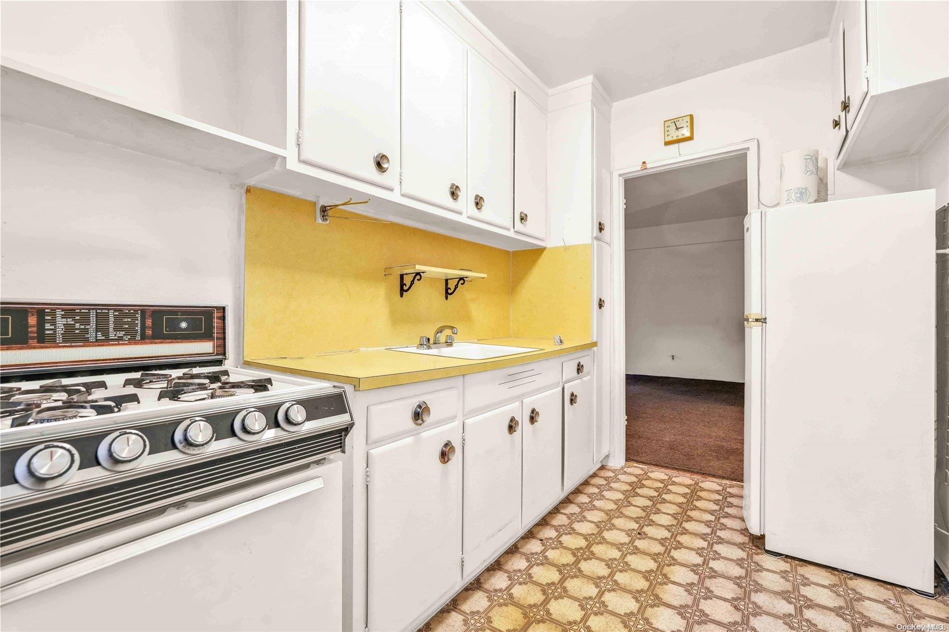Coop Union  Queens, NY 11354, MLS-L3588012-11