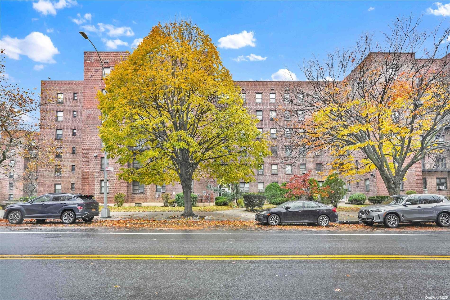 Coop Union  Queens, NY 11354, MLS-L3588012-17