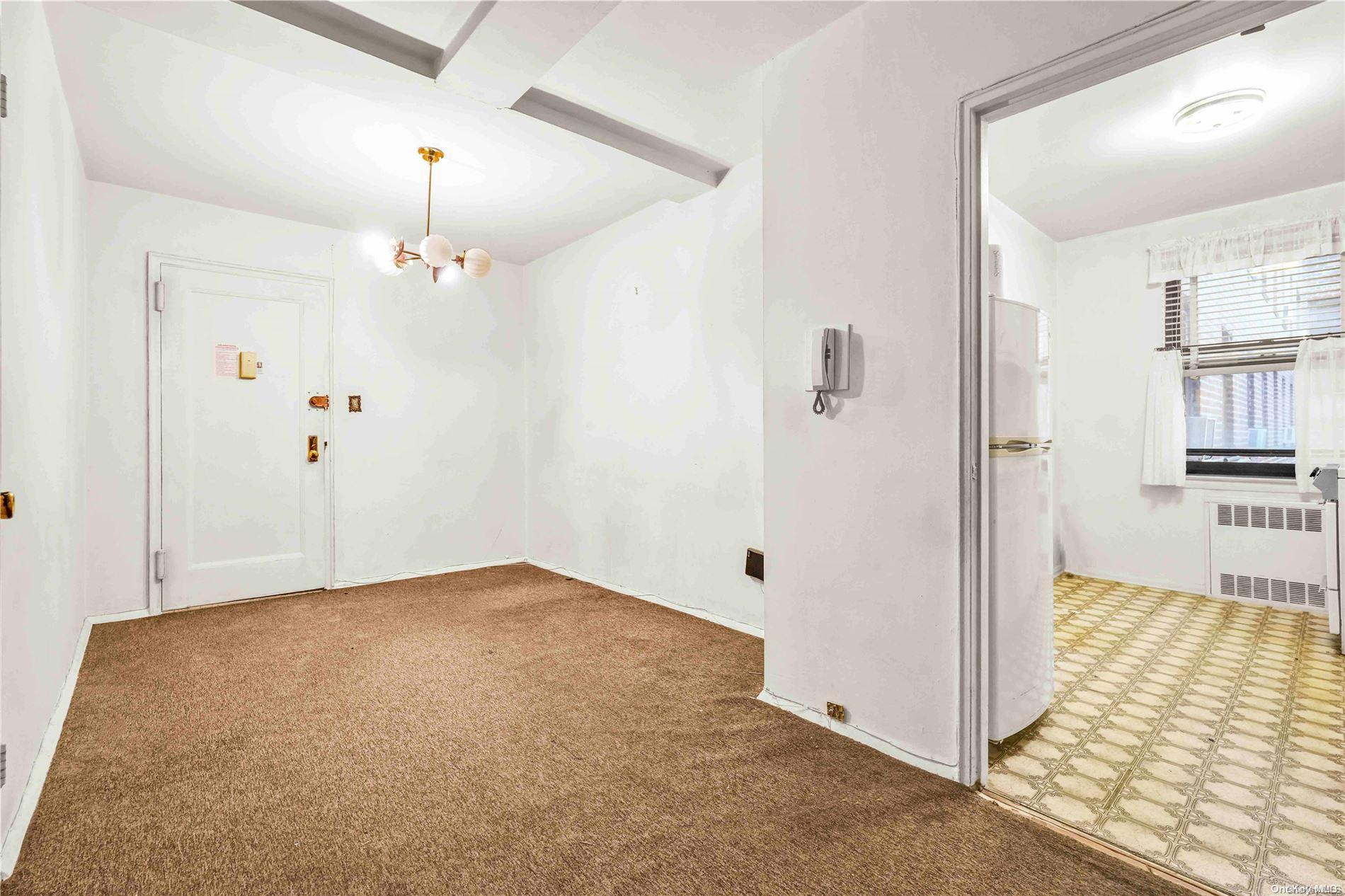 Coop Union  Queens, NY 11354, MLS-L3588012-5