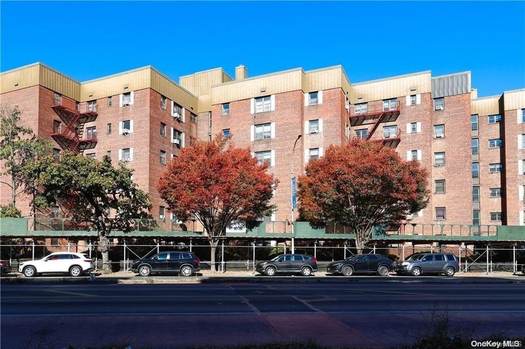 Coop Kings  Brooklyn, NY 11230, MLS-L3588144-17