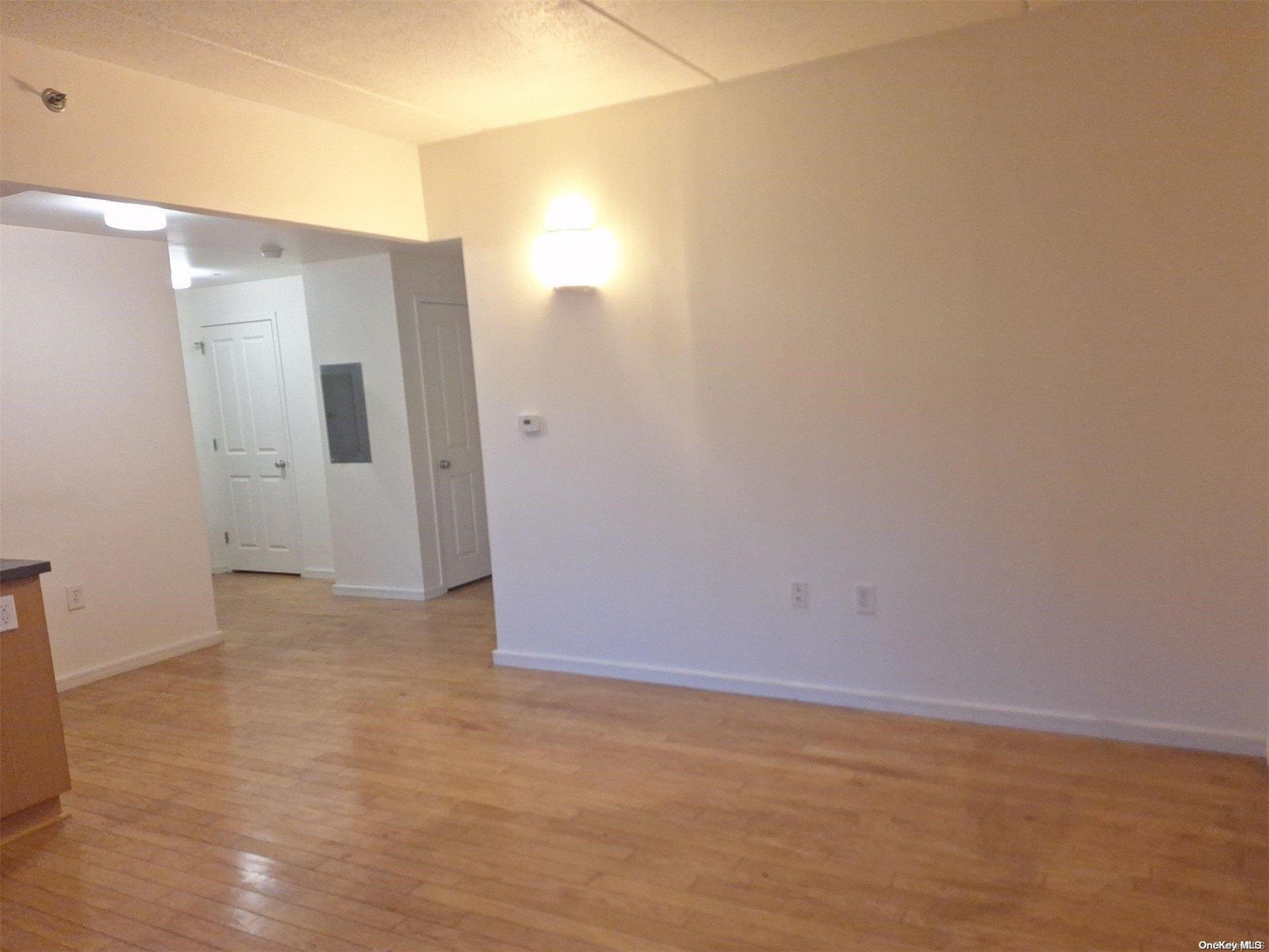Condo Sherlock  Brooklyn, NY 11233, MLS-L3588317-5