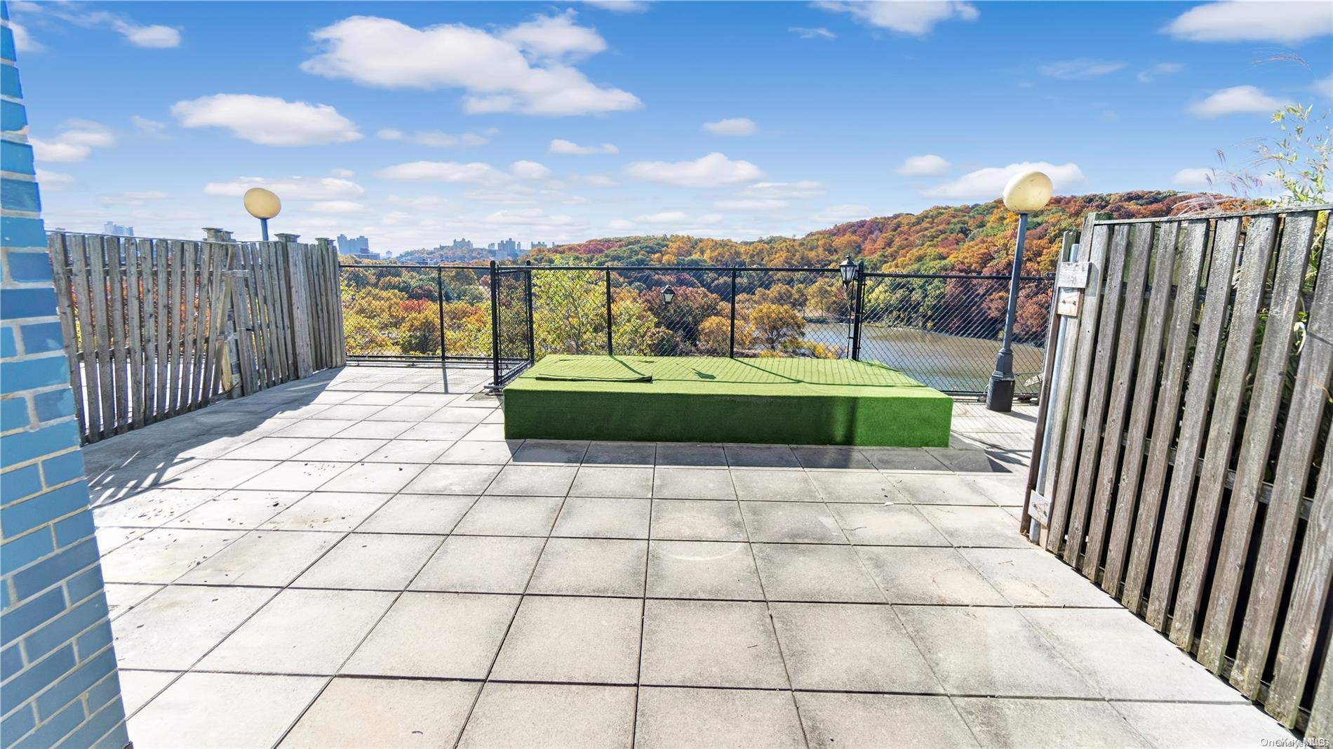 Coop Johnson  Bronx, NY 10463, MLS-L3588750-14