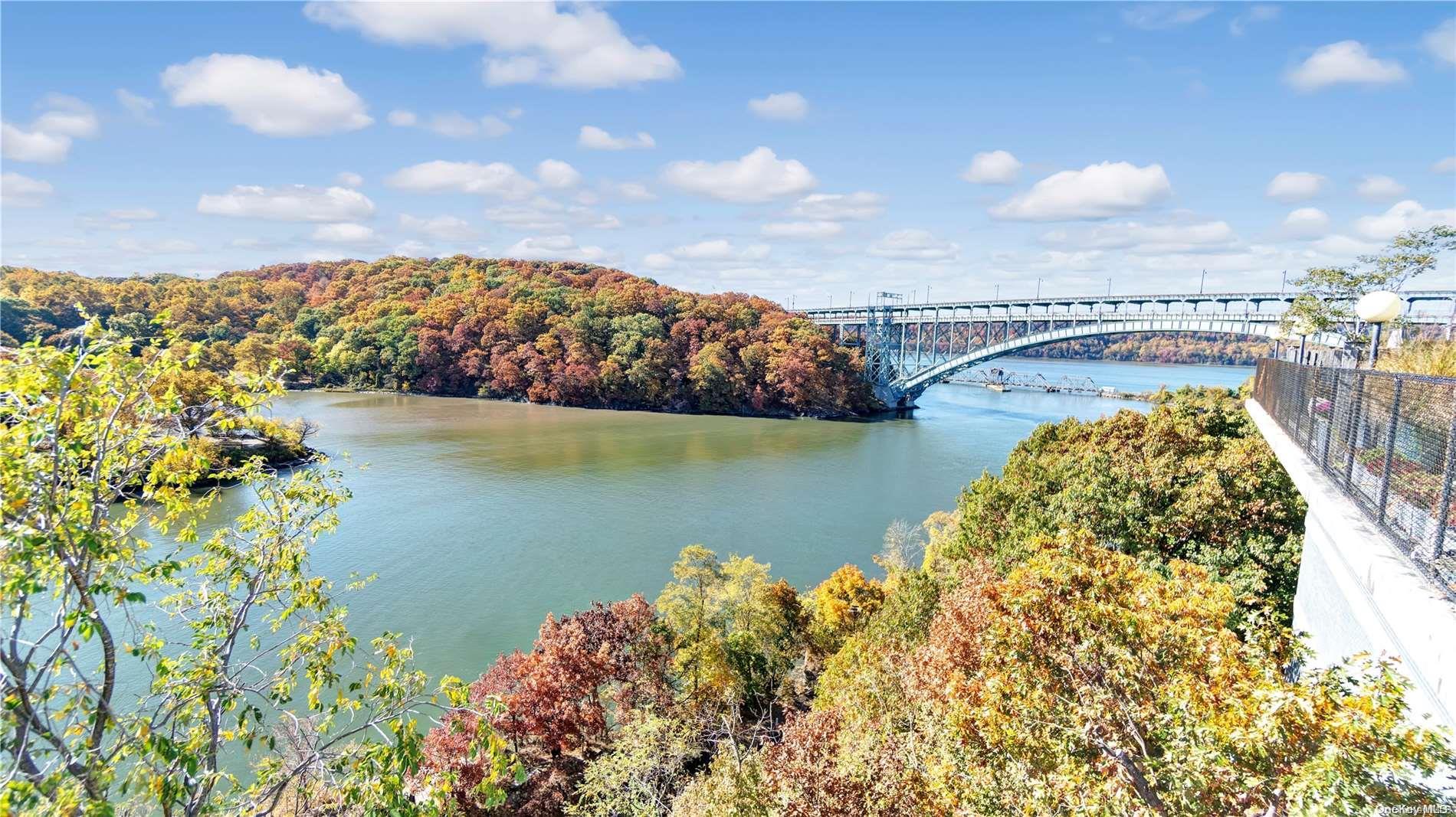 Coop Johnson  Bronx, NY 10463, MLS-L3588750-17