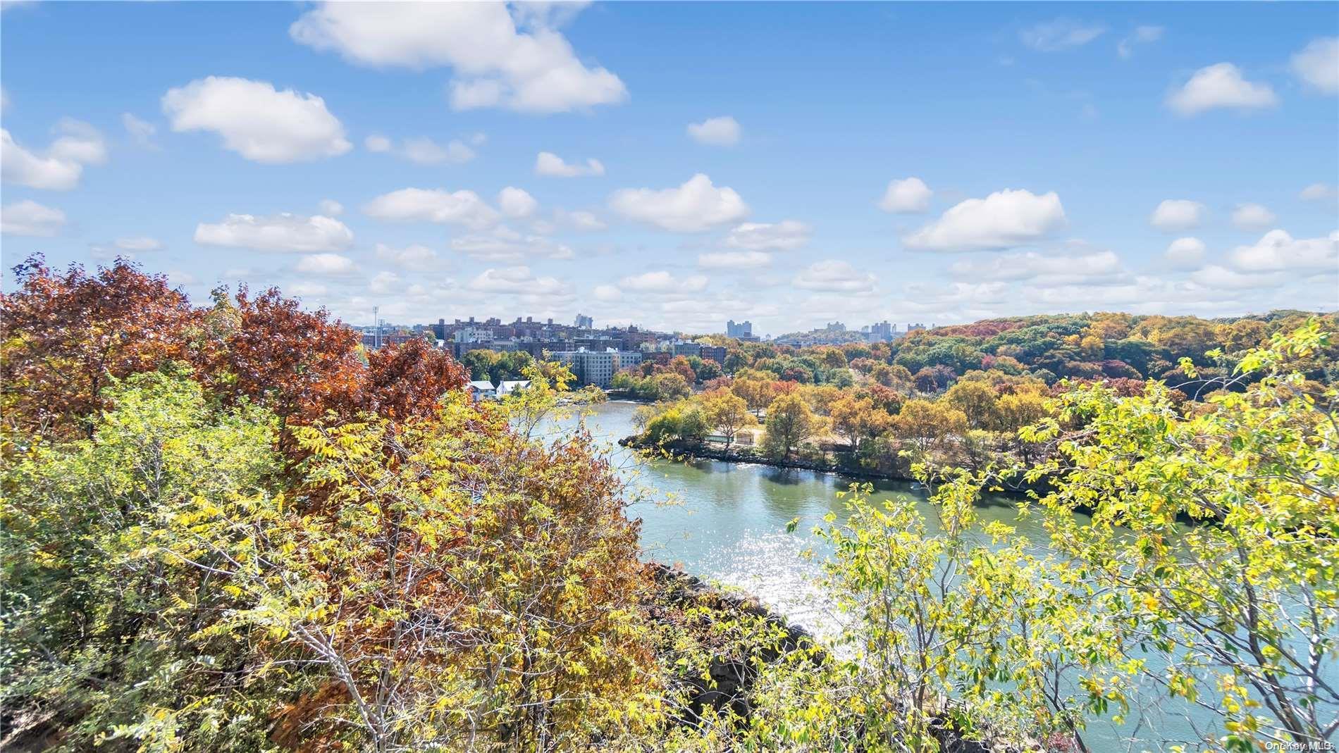 Coop Johnson  Bronx, NY 10463, MLS-L3588750-18