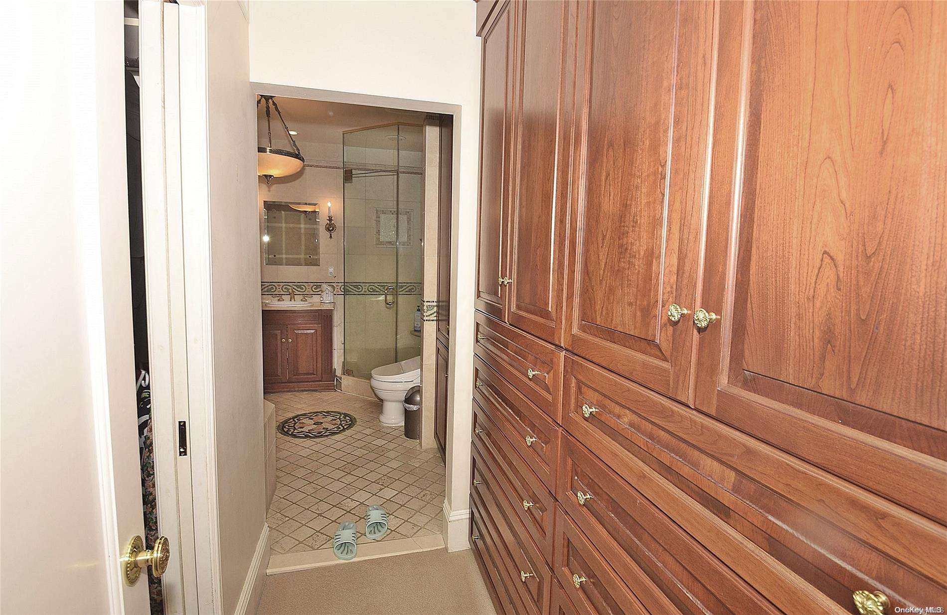 Single Family Manhasset Woods Nassau County, NY 11030, MLS-L3588900-19