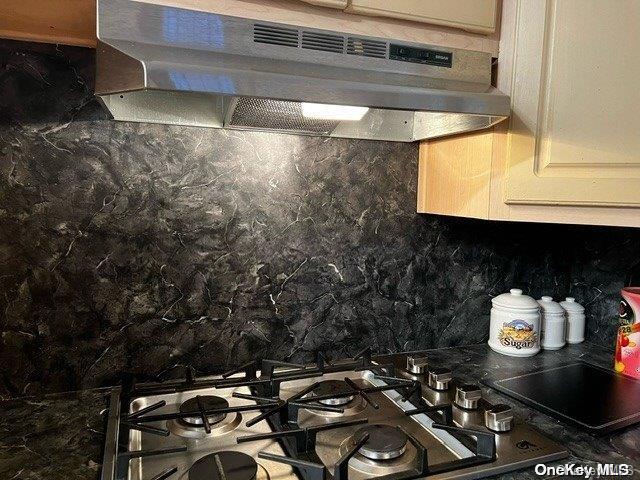 Single Family Troy  Brooklyn, NY 11203, MLS-L3589059-15