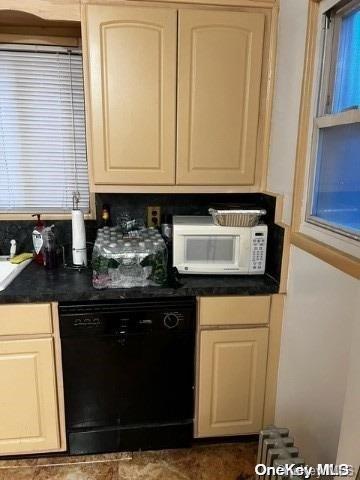 Single Family Troy  Brooklyn, NY 11203, MLS-L3589059-16