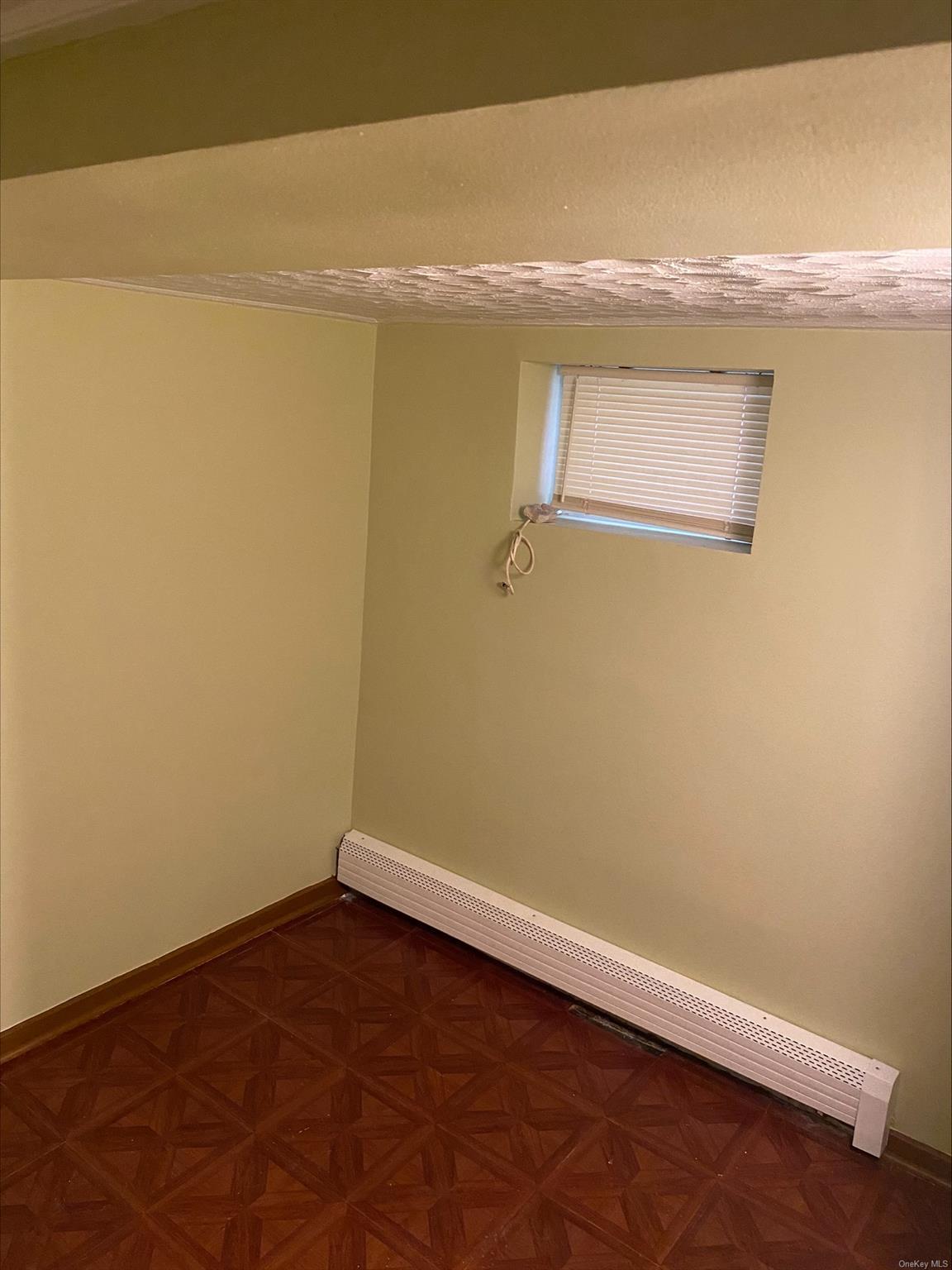 Single Family Troy  Brooklyn, NY 11203, MLS-L3589059-20