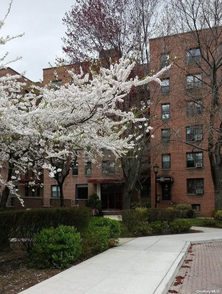 Coop 71  Queens, NY 11367, MLS-L3589077-13