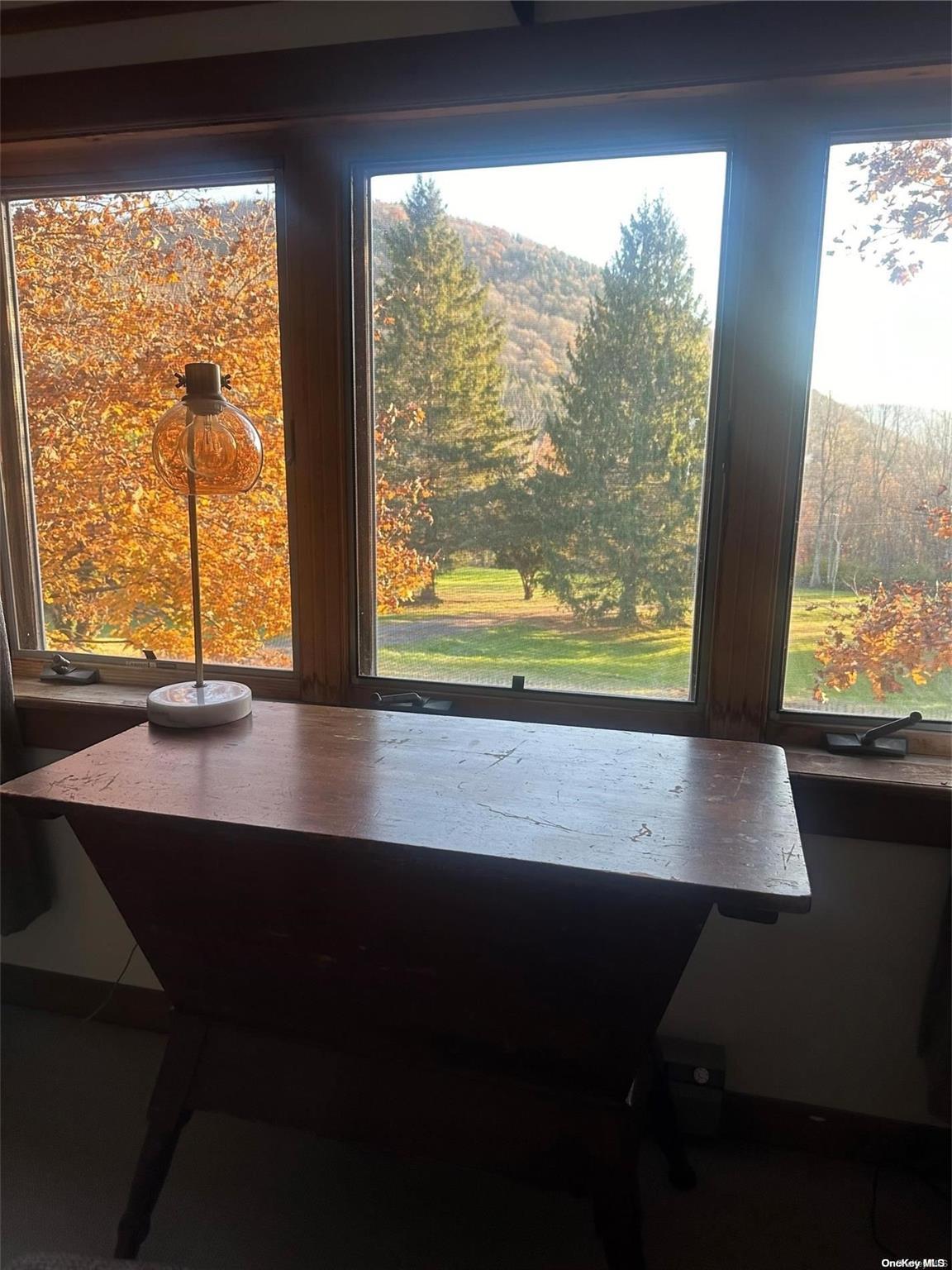 Single Family Batavia Heights Circle  Delaware County, NY 12455, MLS-L3589797-16
