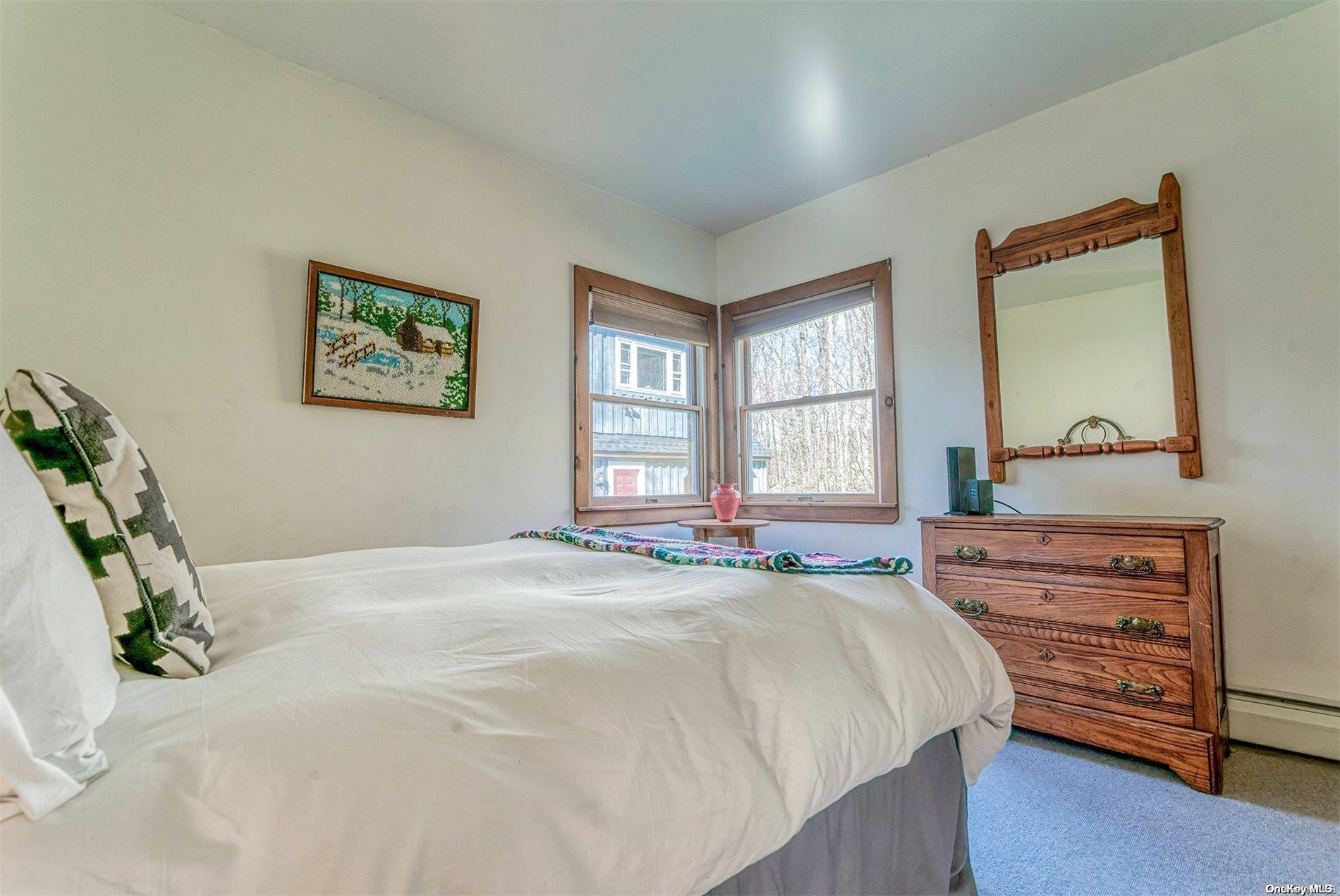 Single Family Batavia Heights Circle  Delaware County, NY 12455, MLS-L3589797-19