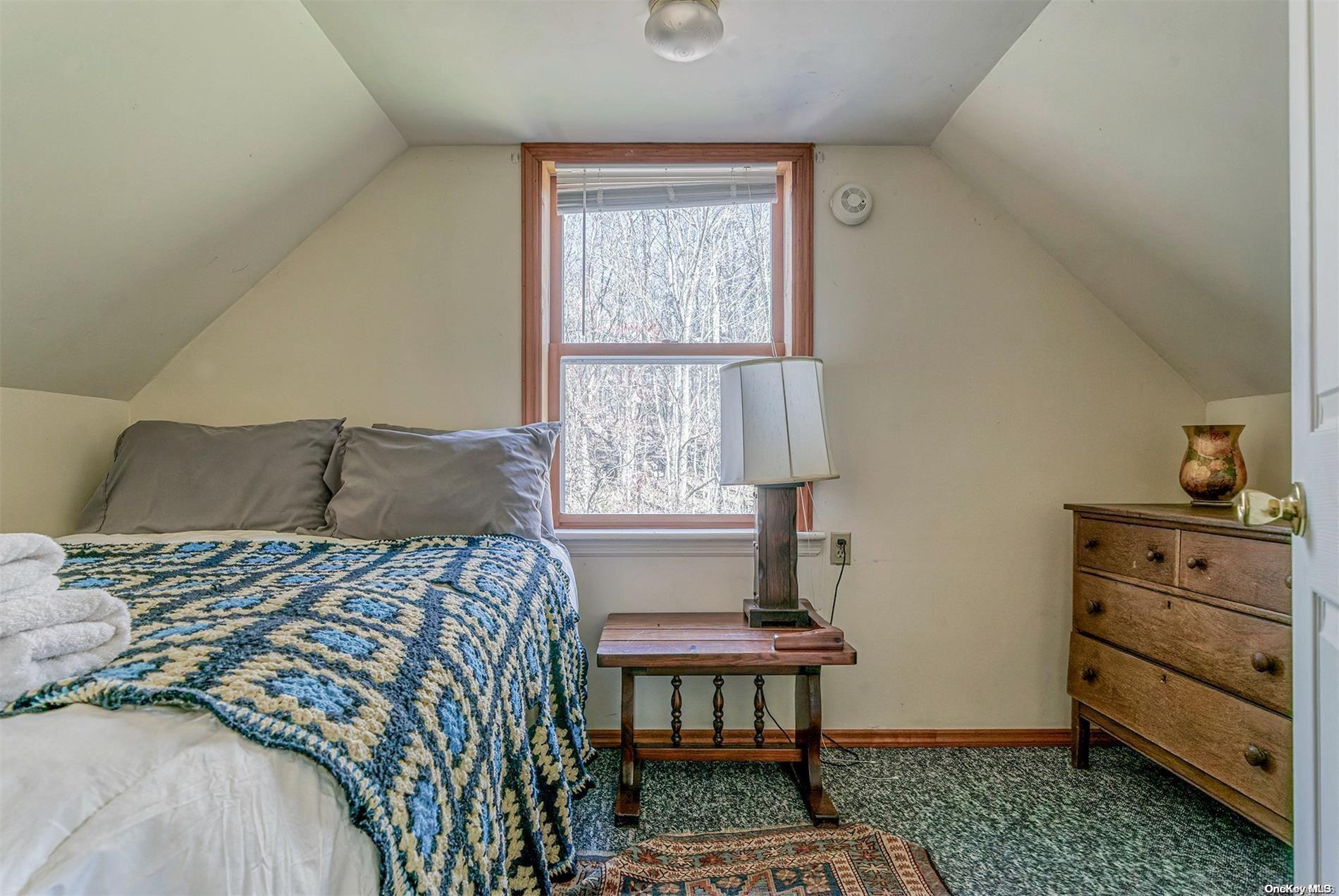 Single Family Batavia Heights Circle  Delaware County, NY 12455, MLS-L3589797-24