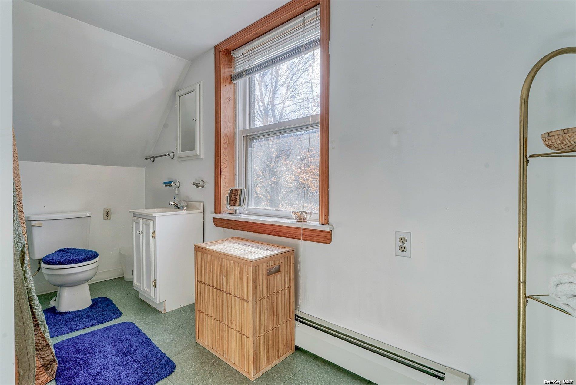 Single Family Batavia Heights Circle  Delaware County, NY 12455, MLS-L3589797-25