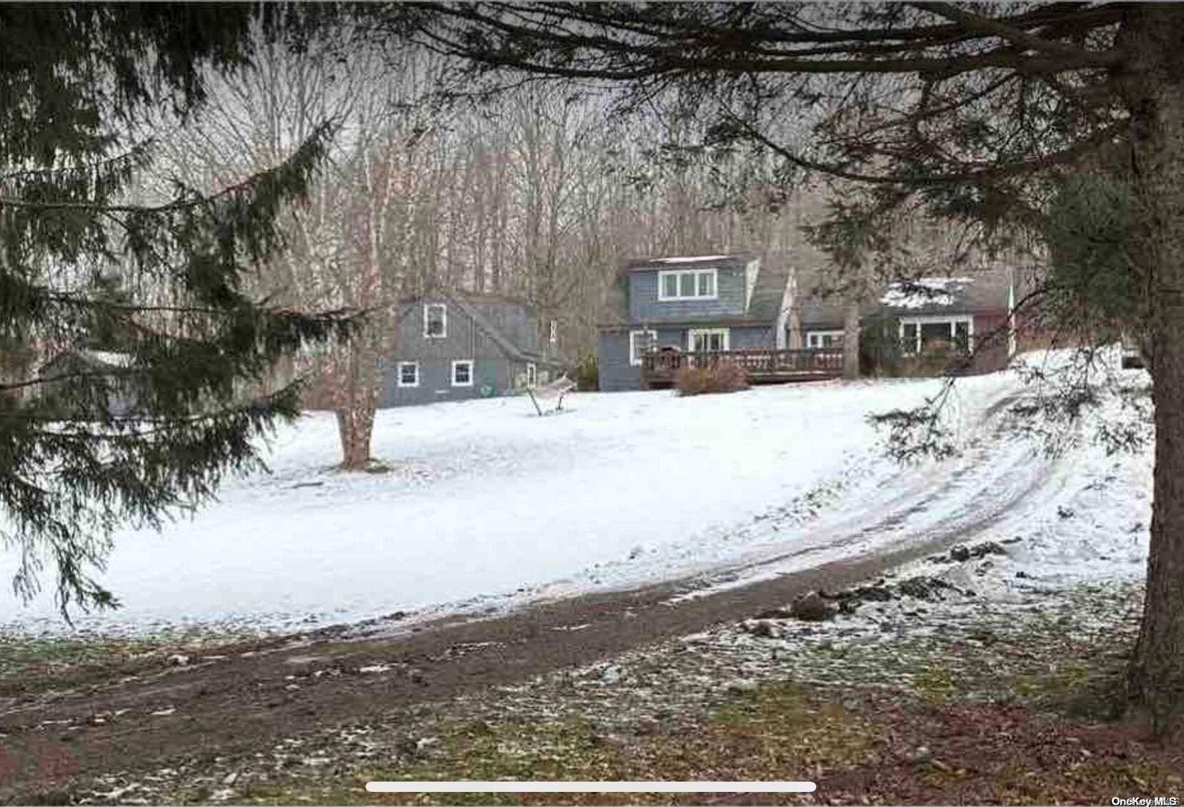 Single Family Batavia Heights Circle  Delaware County, NY 12455, MLS-L3589797-29