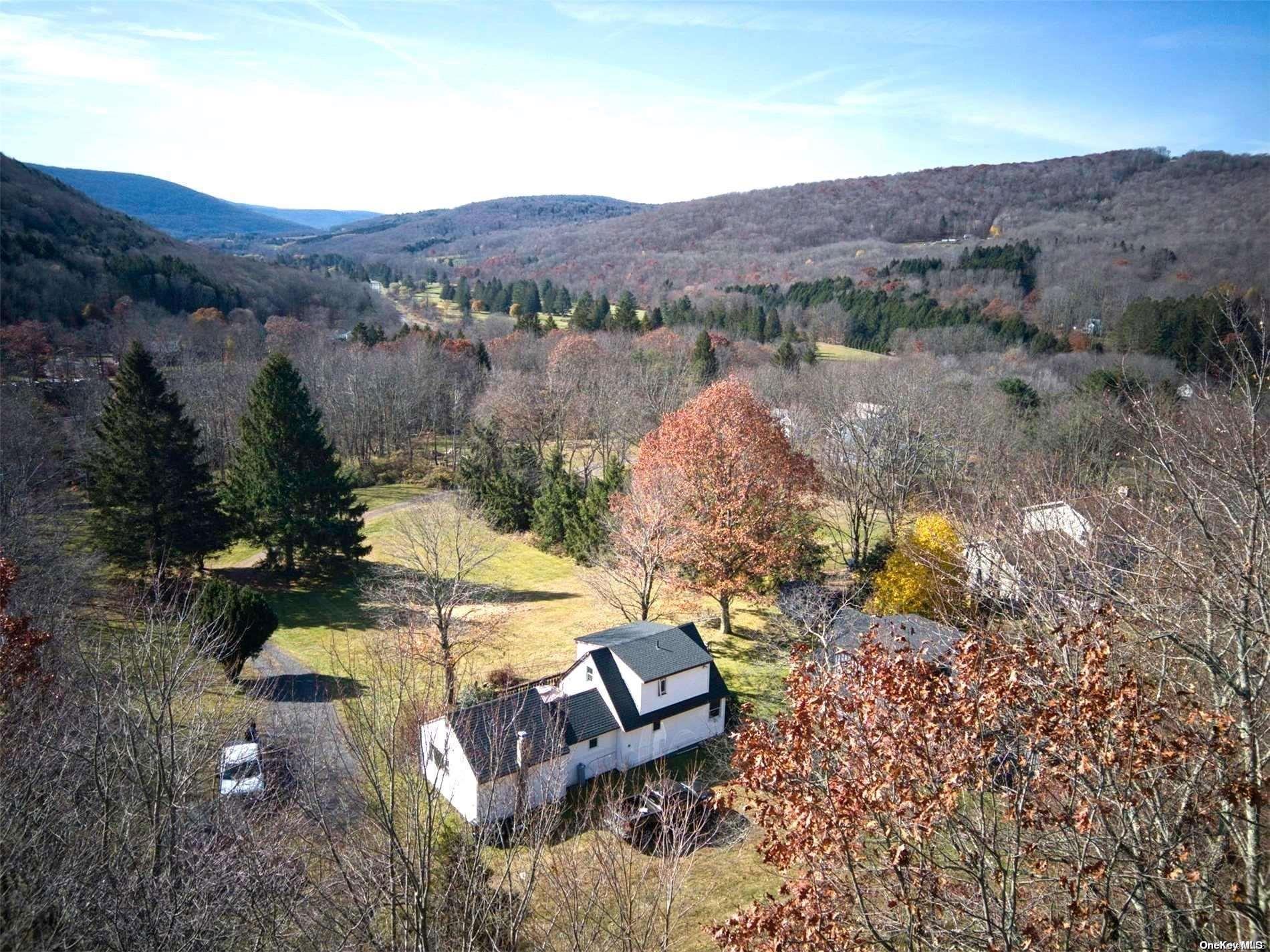 Single Family Batavia Heights Circle  Delaware County, NY 12455, MLS-L3589797-3
