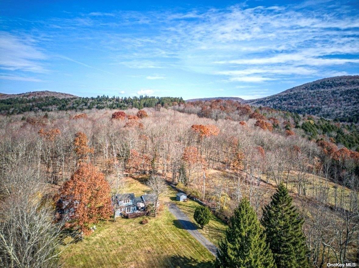 Single Family Batavia Heights Circle  Delaware County, NY 12455, MLS-L3589797-4
