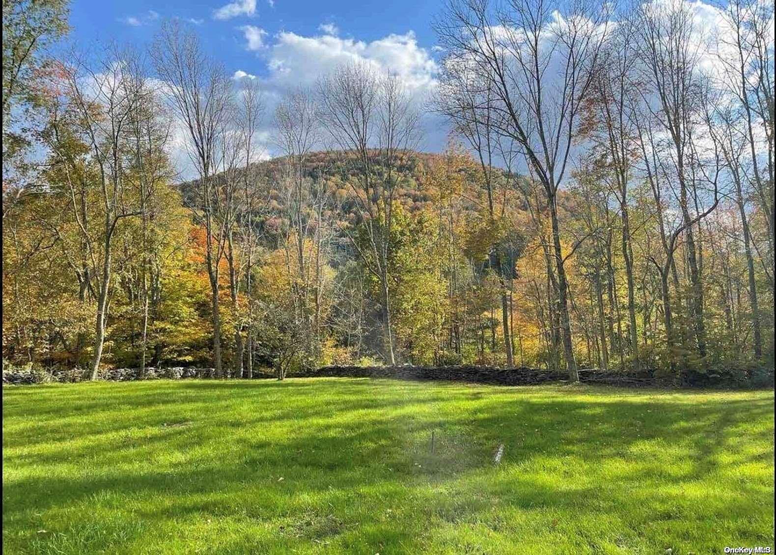 Single Family Batavia Heights Circle  Delaware County, NY 12455, MLS-L3589797-6