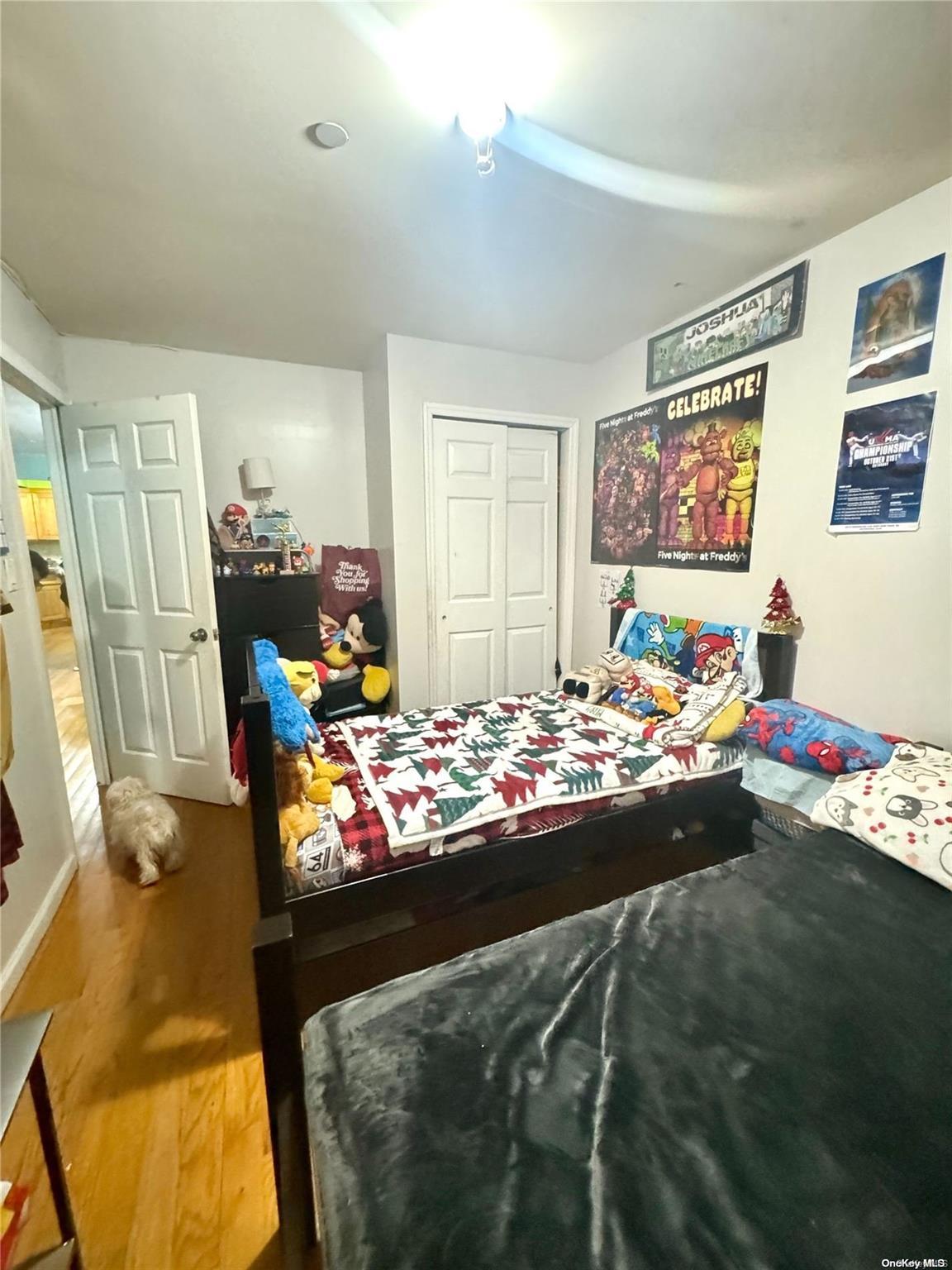 Single Family Junction  Queens, NY 11372, MLS-L3589961-3