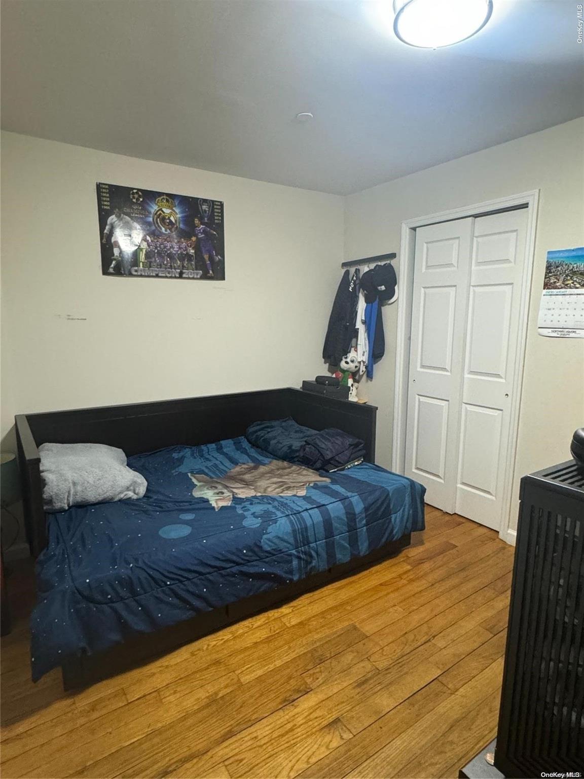 Single Family Junction  Queens, NY 11372, MLS-L3589961-5