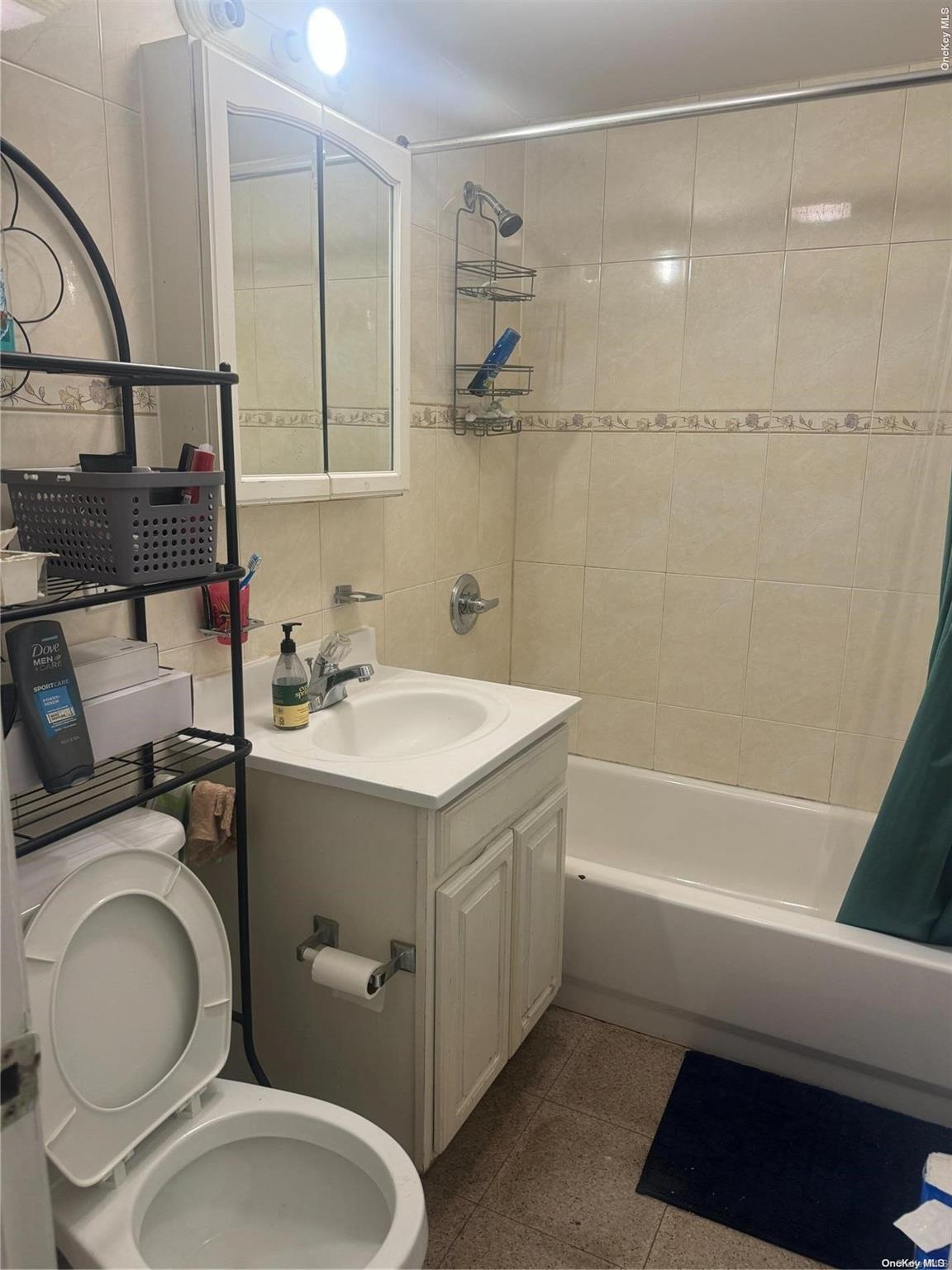 Single Family Junction  Queens, NY 11372, MLS-L3589961-7