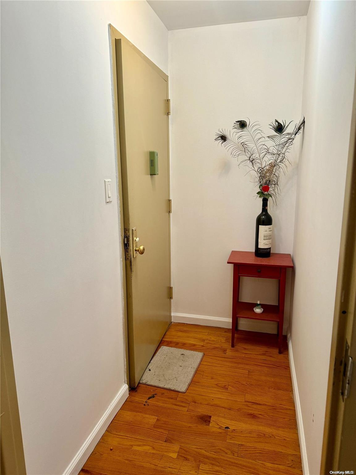 Single Family Junction  Queens, NY 11372, MLS-L3589961-9