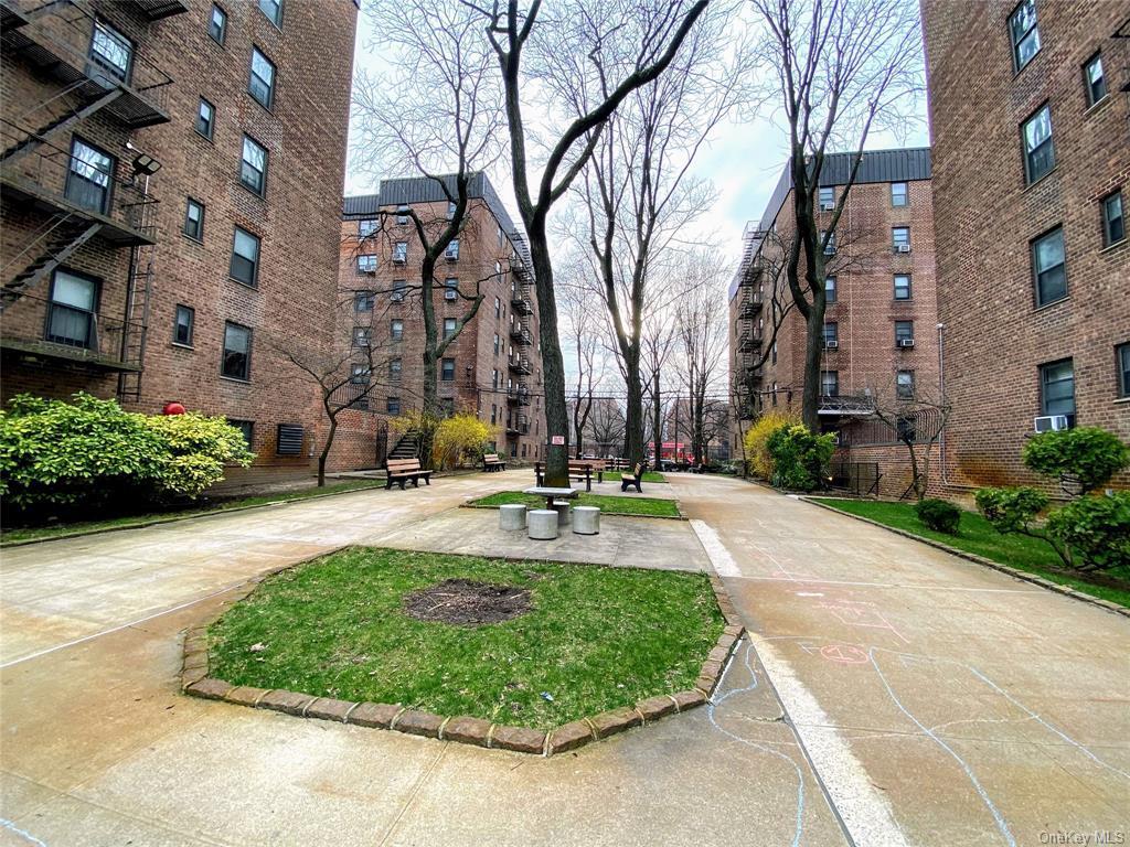 Coop 90  Queens, NY 11369, MLS-L3590057-11